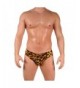 Men's Swimwear