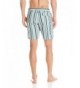 Designer Men's Swim Trunks