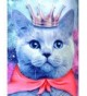 2018 New Women's Clothing Wholesale