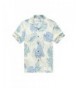 Hawaii Hangover Hawaiian Shirt Leaves