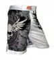 Grappling Fusion Stretch Training Shorts