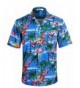 APTRO Hawaiian Pattern Sleeve Shirts