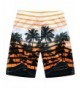 2018 New Men's Swim Board Shorts Outlet